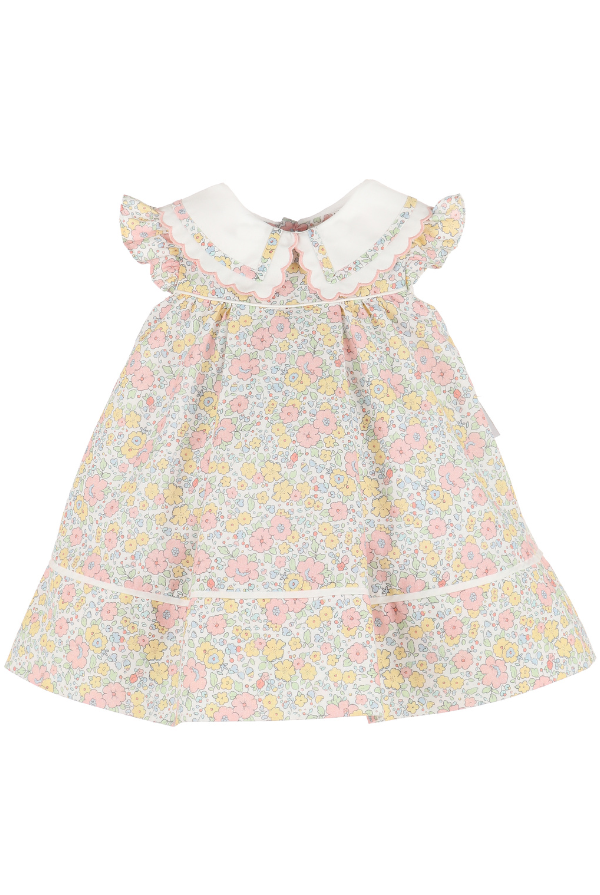 Sophie & Lucas Miller Collar Dress