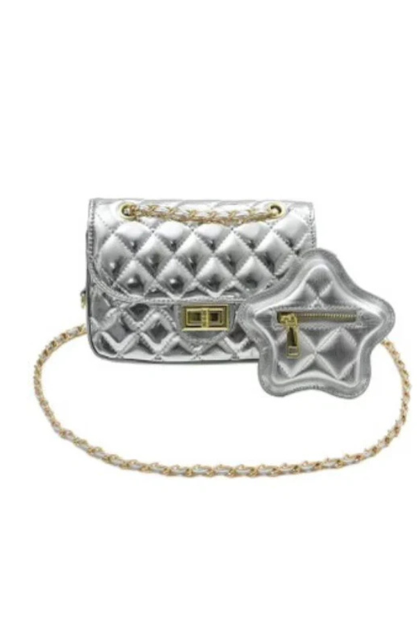 carrying kind Esther Silver Bag